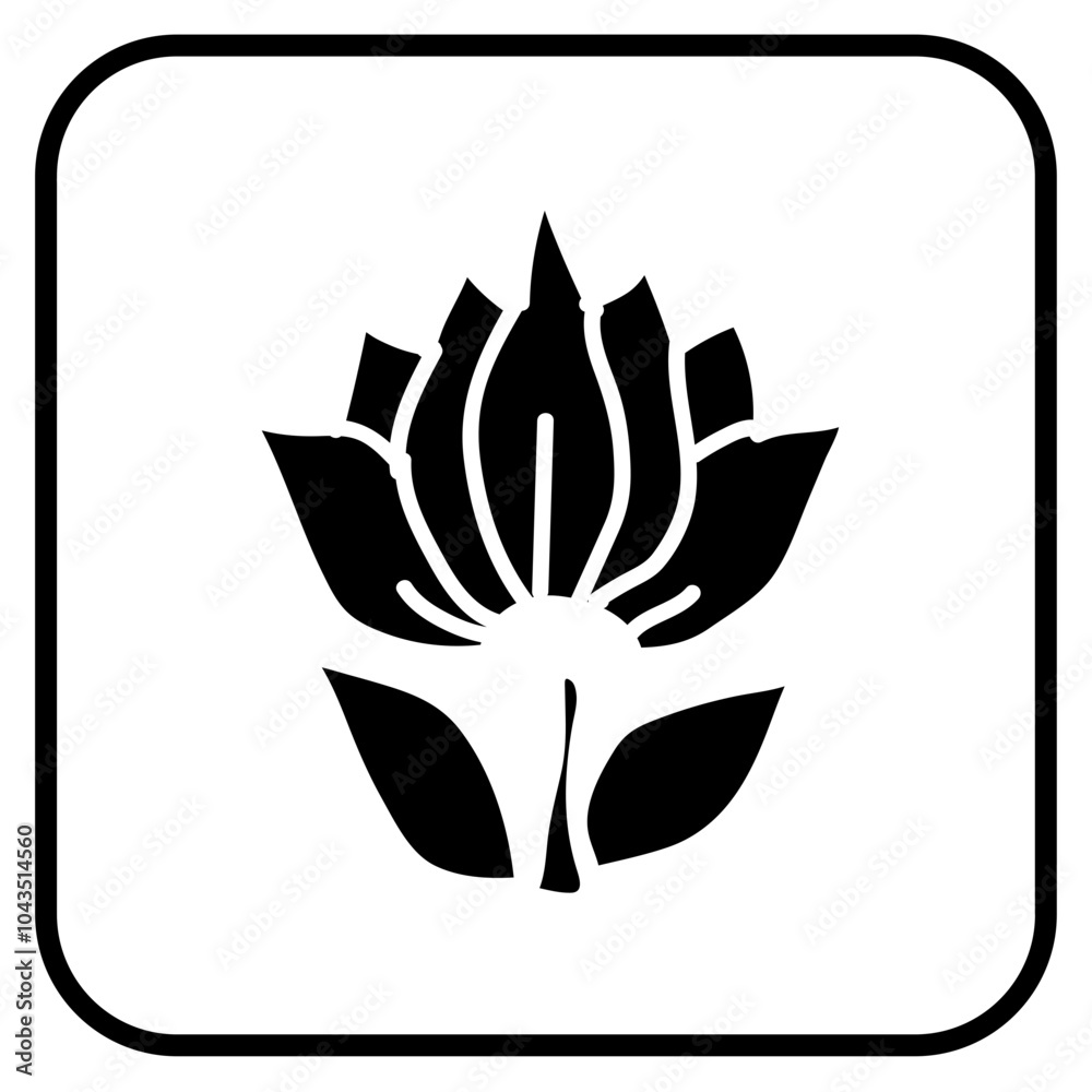 Obraz premium flower