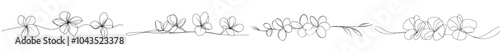 Continually line art drawn tropical plumeria flowers (frangipani, jasmine). Black and white minimalist sketch on white background. Modern illustration.