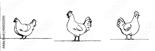 Drawing style of a hen in continuous line art. Black linear design on a white background with an illustration of a hen. Modern illustration.