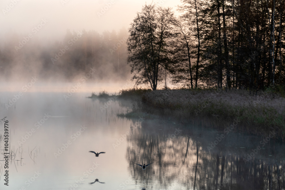 Blurred landscape with a lake in the morning fog, fog over the lake, dark silhouettes of trees on the shore of the lake
