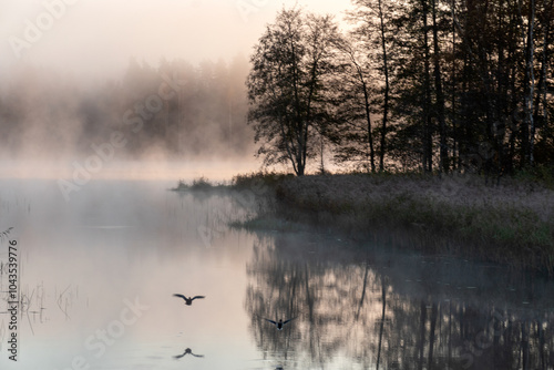 Obraz na płótnie Blurred landscape with a lake in the morning fog, fog over the lake, dark silhouettes of trees on the shore of the lake w salonie