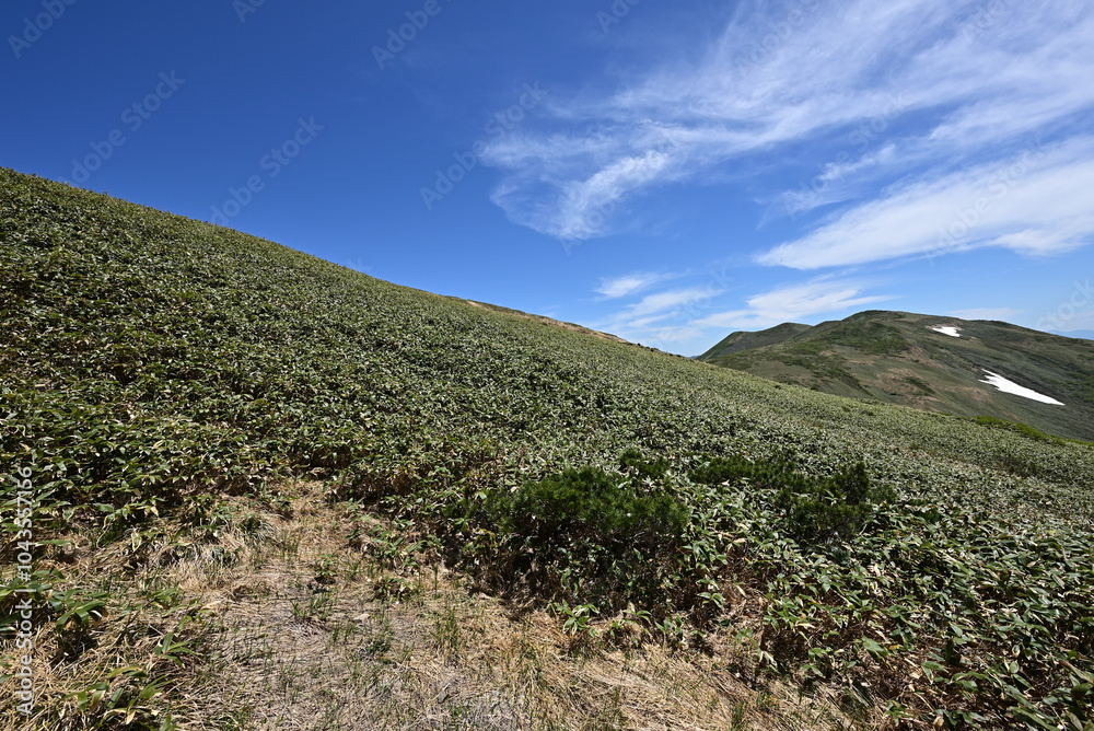 Mount. Tairappyou and Sennokura, Gunma, Japan