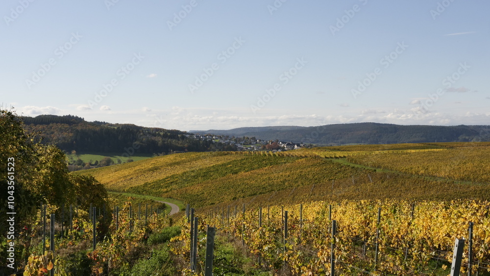 Fototapeta premium Weinberge bei Bekond