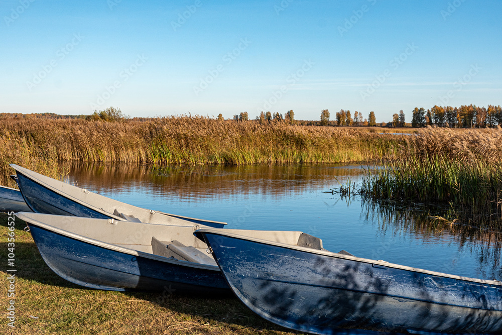 Obraz premium blue boats on the shore of the lake, fishing concept, colorful plant vegetation