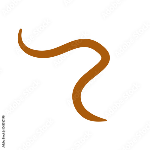 Parasite Worms intestinal