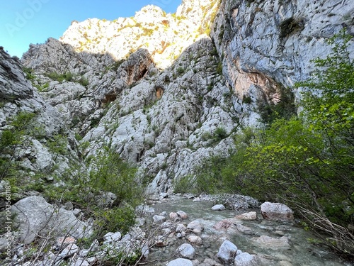 Torrential stream Mala Paklenica, Seline (Paklenica National Park, Croatia) - Wildbach Mala Paklenica, Seline (Nationalpark, Kroatien) - Bujični potok Mala Paklenica, Seline (Hrvatska) photo