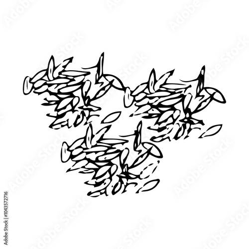 Hand-drawn illustration of cumin