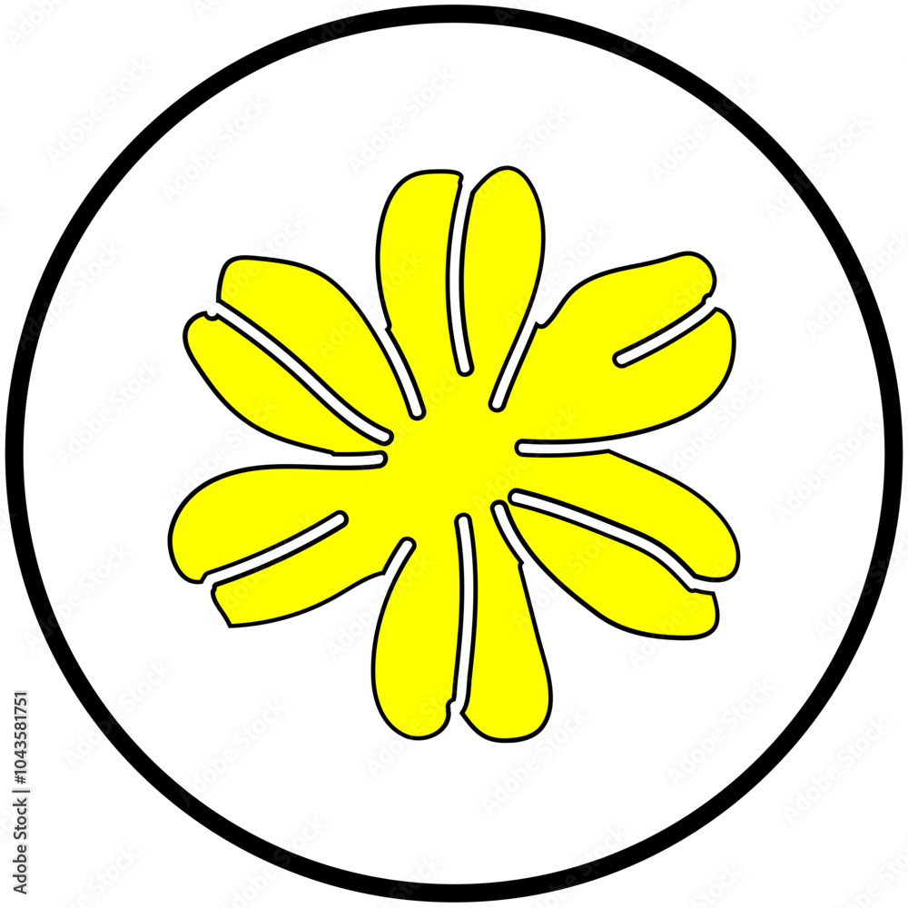 flower flower