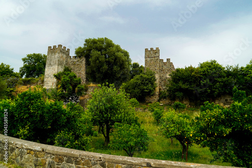 Policastro Bussentino, ancient city walls, Salerno, Campania, Italy photo