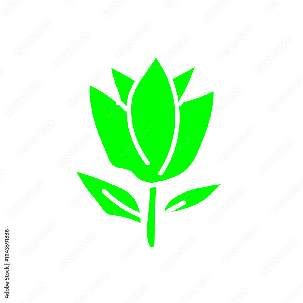 flower flower