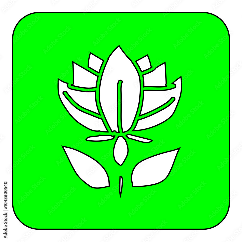 Fototapeta premium flower
