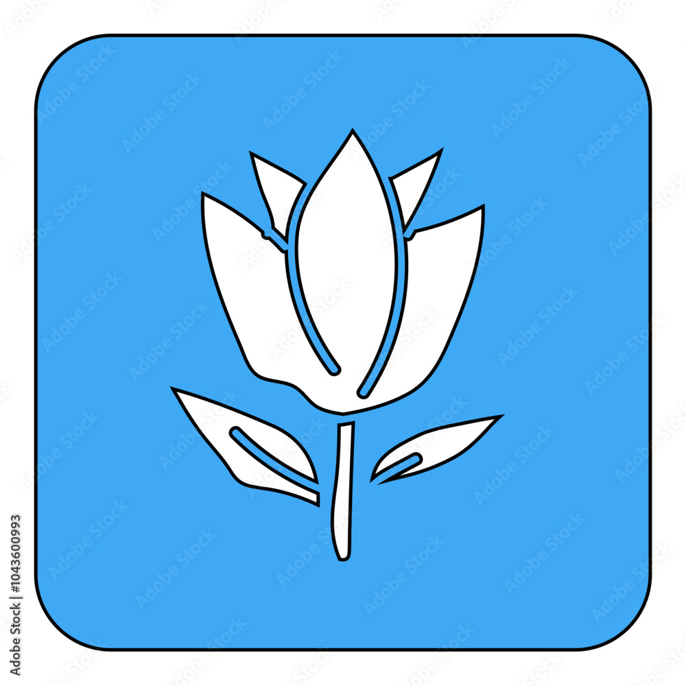 flower flower