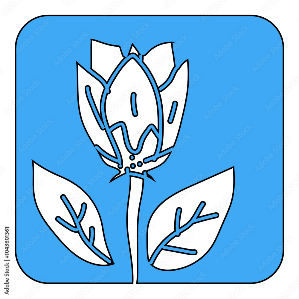 Obraz premium flower