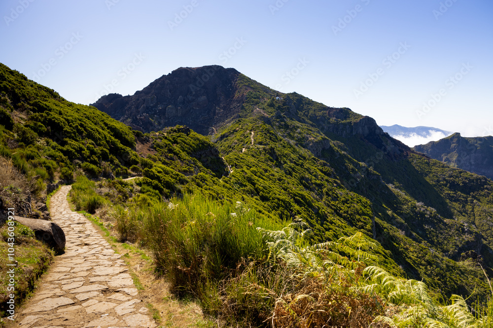 Fototapeta premium Hiking trail in the mountains of Pico Ruivo in a sunny day. Madeira island, Portugal