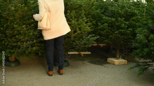 A woman buying a Christmas norman tree in a shop