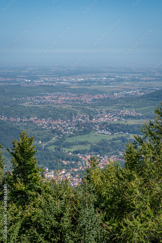 Obraz premium Mont Sainte Odile, France - 09 07 2024: Alsatian Vineyard. Panoramic view of forests, hills and villages from the Sanctuary of Mont Sainte Odile along the wine route.