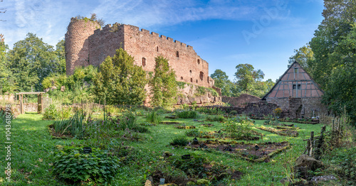 Ottrott Castles, France - 09 07 2024: View of the Lutzelbourg Castle and its garden . photo