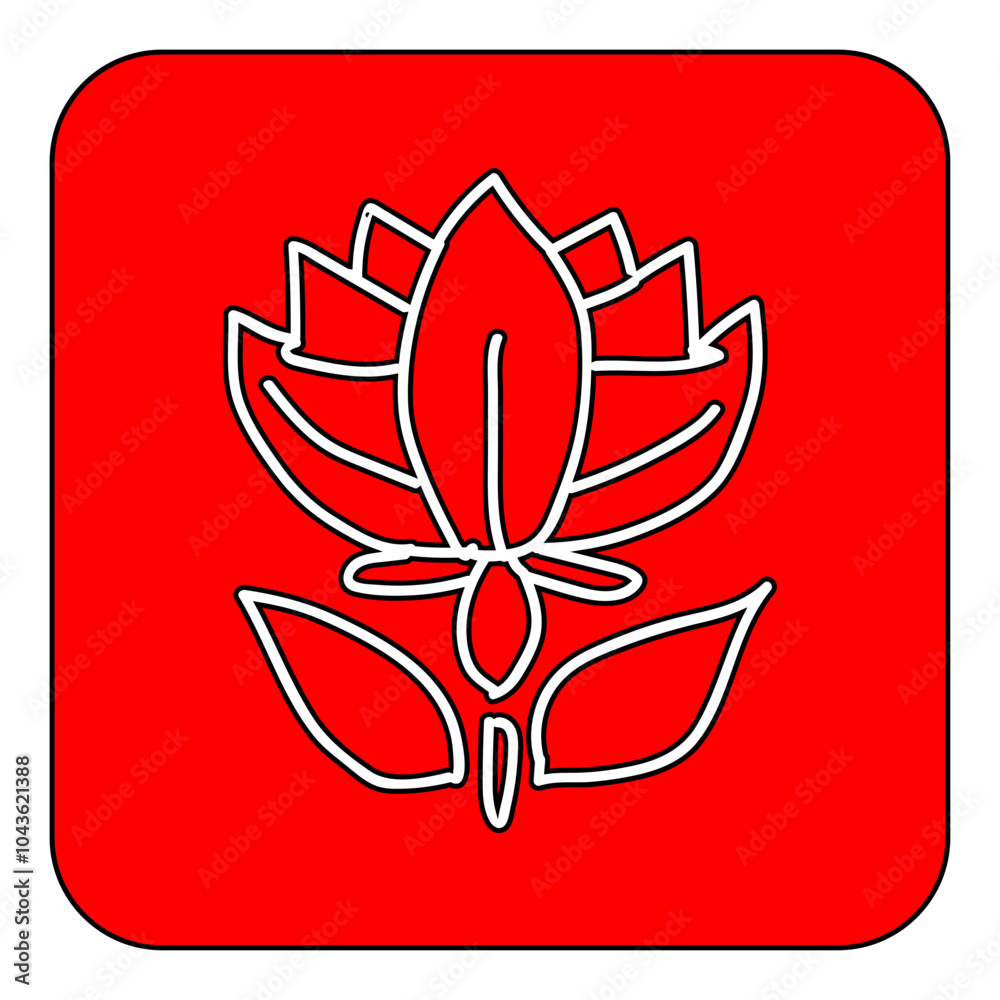 flower flower
