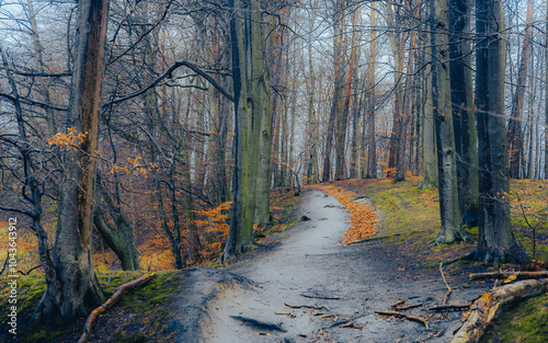Obraz na płótnie Jesien na Kaszubach w salonie