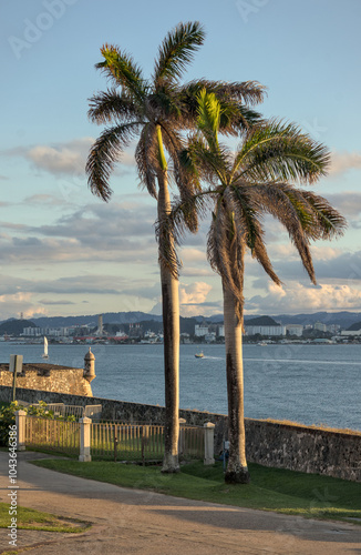 palm trees in old san juan puerto rico (near historic spanish fort ruins del morro) beautiful palms at sunset caribbean sea island destination national park colonial buildings travel destination photo