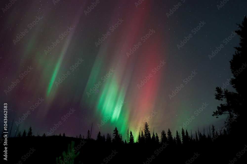 rainbow in the night rainbow in the night