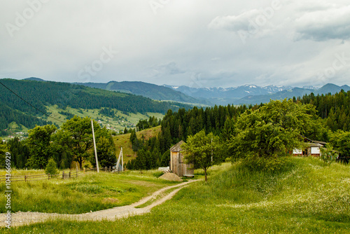 fields and meadows of Ukraine