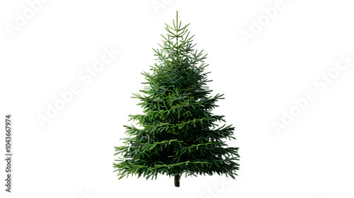 Realistic Christmas Tree on White Background