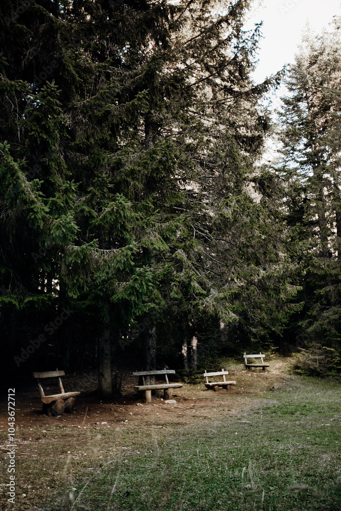 Fototapeta premium bench in the park