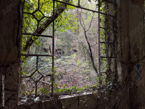 An abandoned structure showcases a weathered window frame enveloped in vines, offering a glimpse of lush greenery and overgrowth outside, suggesting nature reclaiming the area.