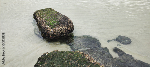 Texture stone moss shell sand sea cement water reflection wave foam fish shine boat bird tree leaf landscape cloud sky house building wires wiring street neighborhood city hill mountain cliff