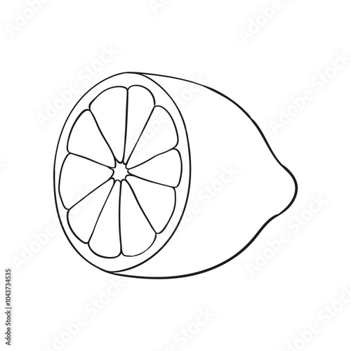 Half of a lemon slice, simple linear illustration icon