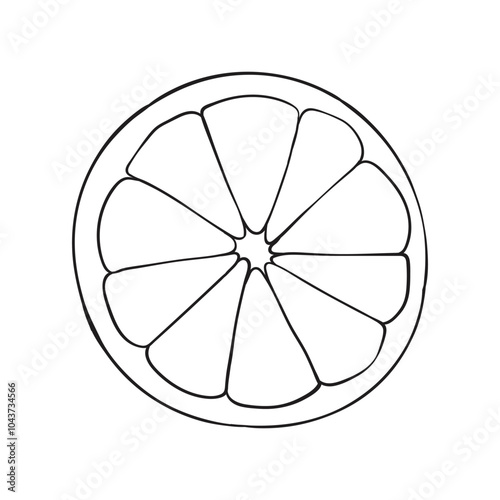 Round orange or lemon slice, simple linear illustration icon