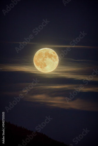 beautiful full moon rise over the mountains with tree silhouettes photo