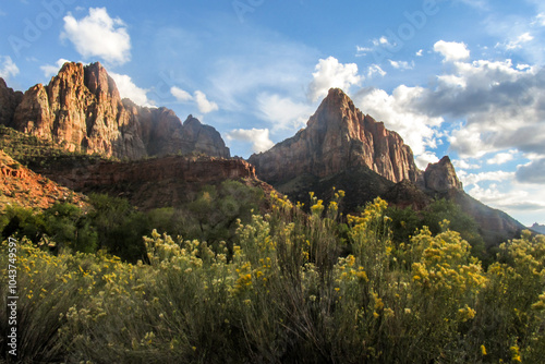 The Watchmen, one of the iconic peaks in Zion National Park in Utah, with the yellow flowers of Rabbitbrush in bloom in the foreground. photo