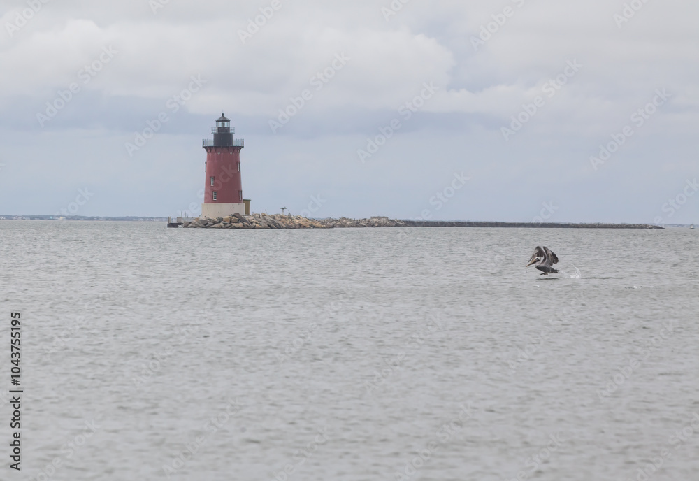Fototapeta premium Pelican Taking Off By Lighthouse