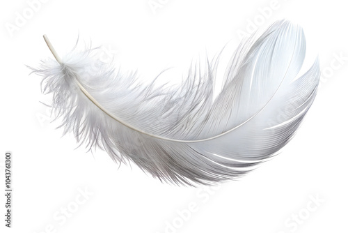 Cute White Feather PNG Background Perfect for Various Digital Projects Including Graphics Design, Websites, and Presentation Slides