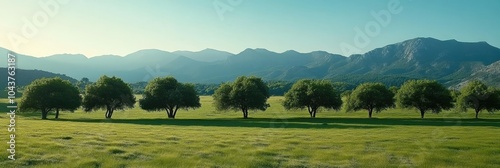 Panoramic landscape, lush green meadow, scattered trees, mountainous background, golden sunset, sunbeams, misty atmosphere, vibrant colors, serene nature scene, high contrast, wide-angle view, photore photo