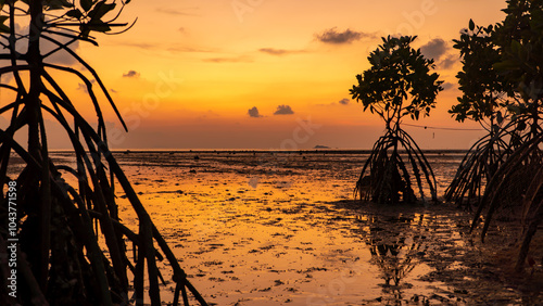 A sunset over a muddy beach with mangroves in the foreground