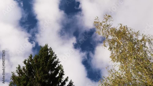 A Beautiful Cloudy Sky Shining Above the Vibrant Autumn Trees in Peaceful Nature Scenery