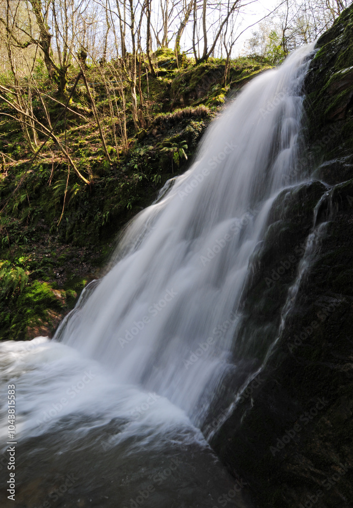 Fototapeta premium Nuzhetiye Waterfall in Kocaeli, Turkey. 