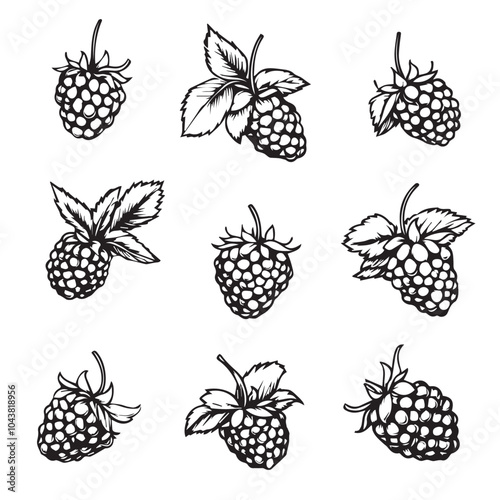 Raspberries In cartoon, hand-drawn flat style. image for social media, websites and UI. Isolated 2D vector design in logo, icon, sketch style, simple line vector, single color. AI Generative Art.