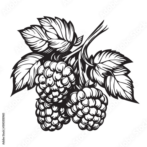 Raspberries In cartoon, hand-drawn flat style. image for social media, websites and UI. Isolated 2D vector design in logo, icon, sketch style, simple line vector, single color. AI Generative Art.