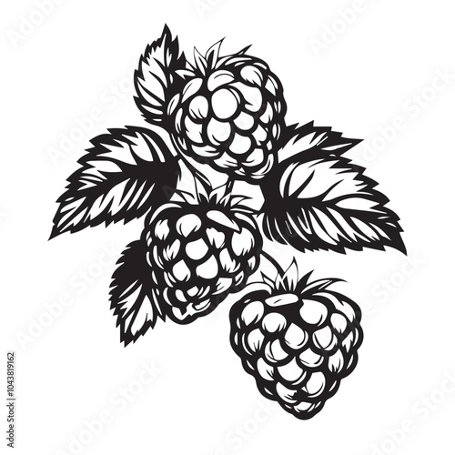 Raspberries In cartoon, hand-drawn flat style. image for social media, websites and UI. Isolated 2D vector design in logo, icon, sketch style, simple line vector, single color. AI Generative Art.