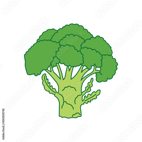 broccoli vegetable icon ,Fresh green broccoli vector illustration