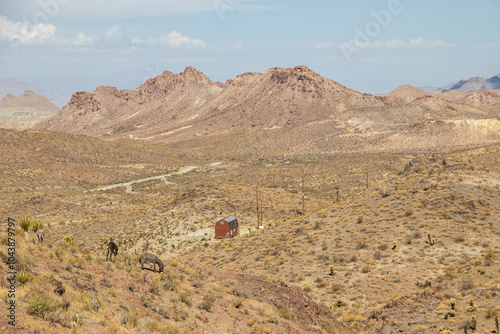 Aussichtspunkt am Sitgreaves Pass bei Oatman an der Route 66 in Arizona