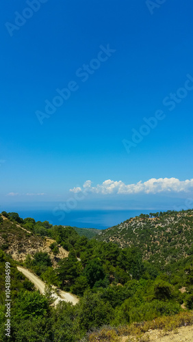 Scenic view of a lush, winding mountain road leading to the blue horizon under a clear sky.