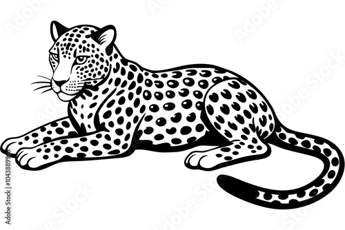 A leopard lies with its legs spread vector silhouette 