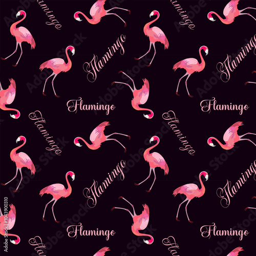 Pattern with flamingos and text.Vector seamless pattern with pink flamingos and texts on a dark background. photo