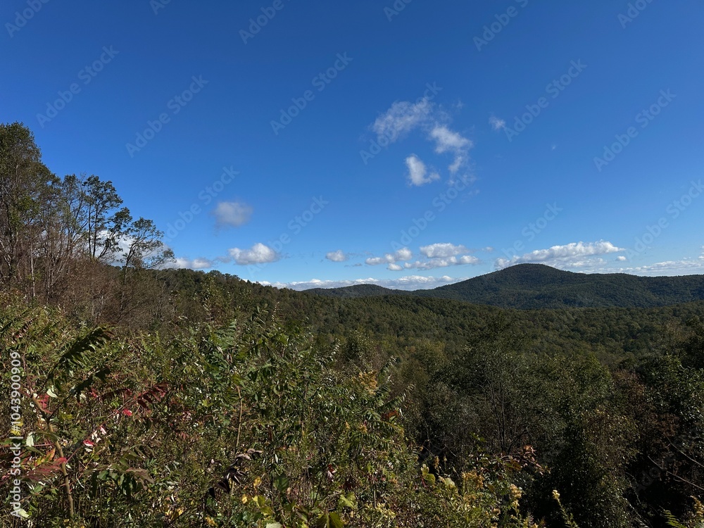 Fototapeta premium landscape with sky