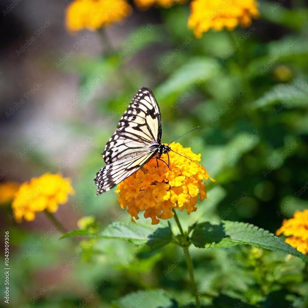A close-up photo of a butterfly resting on a vibrant flower, deep focus capturing the intricate patterns and vivid colors of its wings, eye-level shot giving a detailed portrait of the delicate A close-up photo of a butterfly resting on a vibrant flower, deep focus capturing the intricate patterns and vivid colors of its wings, eye-level shot giving a detailed portrait of the delicate